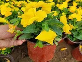 节用爱民成语接龙游戏