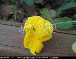 百计千方成语接龙游戏