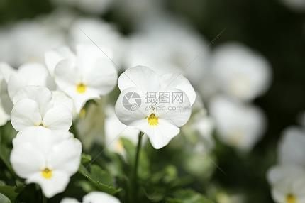 画一之法成语接龙游戏