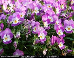 此唱彼和成语接龙游戏