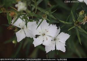 下雨天留客天留我不留