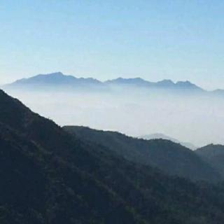 枪手打一成语