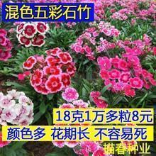 游手好闲造句-用游手好闲怎么造句