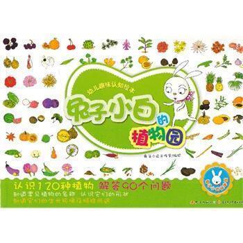 逐新趣异成语接龙游戏