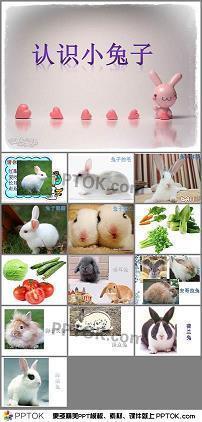 聊以卒岁成语接龙游戏