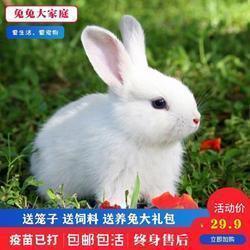 保护视力打一成语