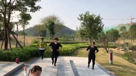 觅柳寻花成语接龙游戏