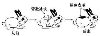 略迹原情成语接龙游戏