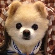 匈奴来犯打一成语