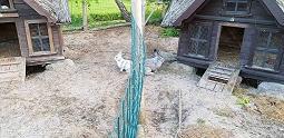 马不解鞍成语接龙游戏