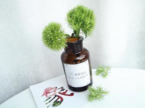 一琴一鹤成语接龙游戏