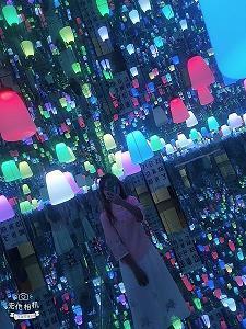 踵迹相接成语接龙游戏