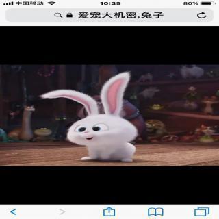 董狐直笔成语接龙游戏