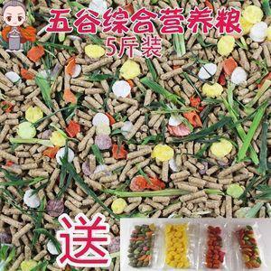 渭浊泾清成语接龙游戏