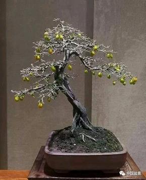 节食缩衣成语接龙游戏