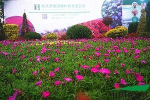 四通五达成语接龙游戏