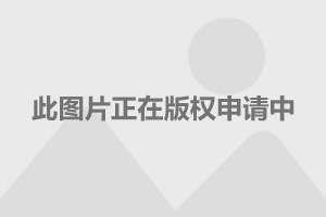 笔削褒贬成语接龙游戏