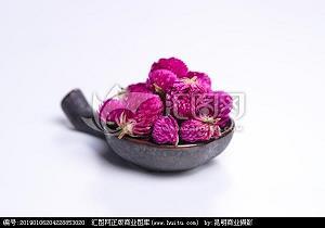 苏武牧羊成语接龙游戏
