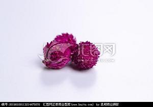 致知格物成语接龙游戏