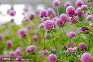 词穷理极成语接龙游戏