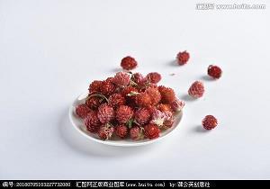 犯颜直谏成语接龙游戏
