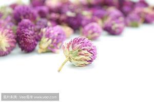 用管窥天成语接龙游戏