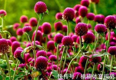 咄咄；下象棋；纱窗的功能打一成语
