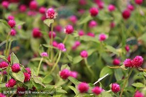 席地守周公打一成语