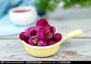 瑶草琪葩成语接龙游戏