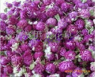 琅琅上口成语接龙游戏