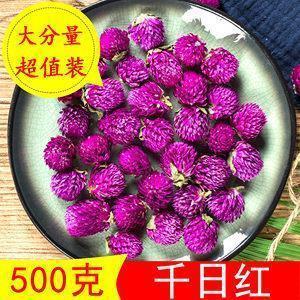 读书君子成语接龙游戏