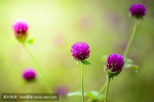 萧行范篆成语接龙游戏