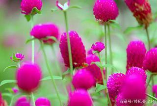 说好嫌歹成语接龙游戏