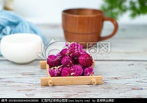 胸有成算成语接龙游戏