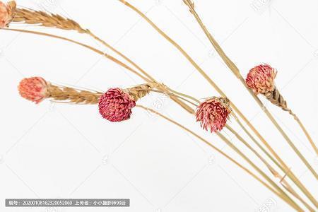 半；瓶底朝天；跋作序言打一成语