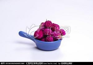 仙人指路打一成语