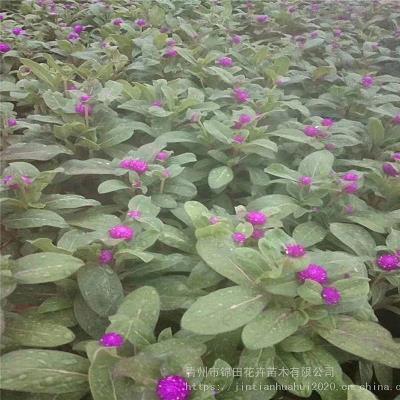 袒胸露臂成语接龙游戏
