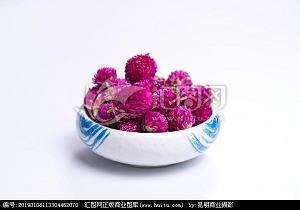 莺飞草长成语接龙游戏