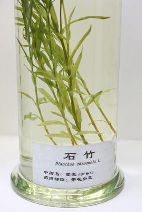 童叟无欺造句-用童叟无欺怎么造句