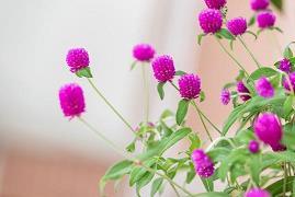 痛悔前非成语接龙游戏