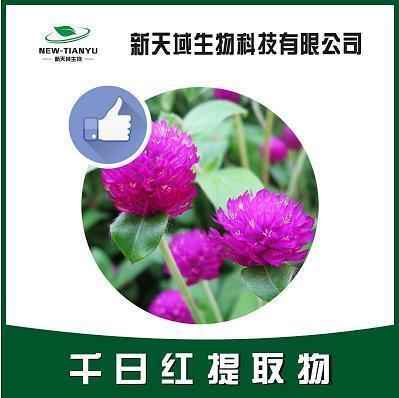 降格以求成语接龙游戏