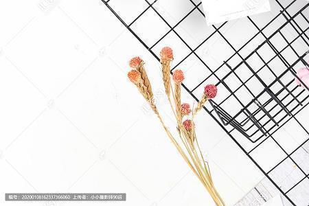 金兰之友成语接龙游戏