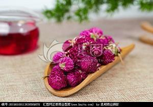 藏巧于拙成语接龙游戏