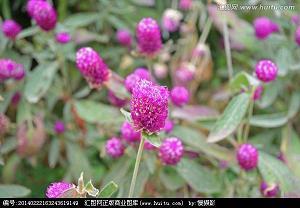 贪财好贿成语接龙游戏