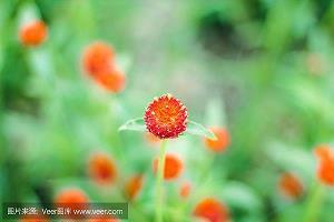 雾释冰融成语接龙游戏