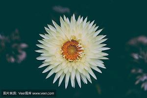 驰马试剑成语接龙游戏