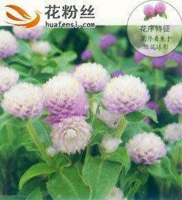 踽踽独行成语接龙游戏