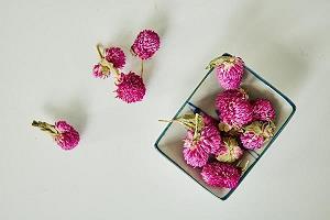 风木之思成语接龙游戏
