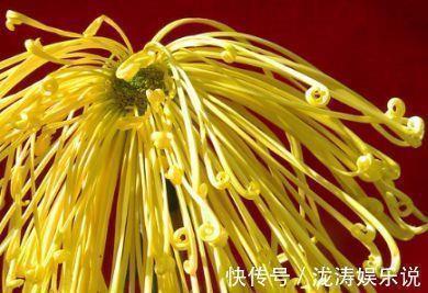 一年级作文我喜欢的一则格言