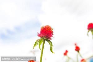讬诸空言成语接龙游戏